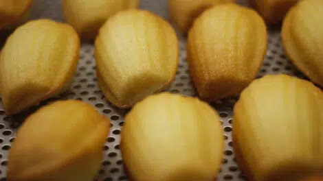 Recette madeleines de grand-mère